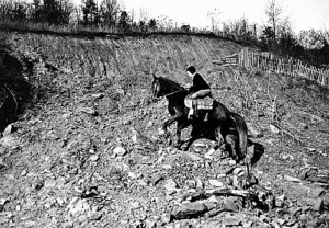Pack Horse librarian on a rough trail. 